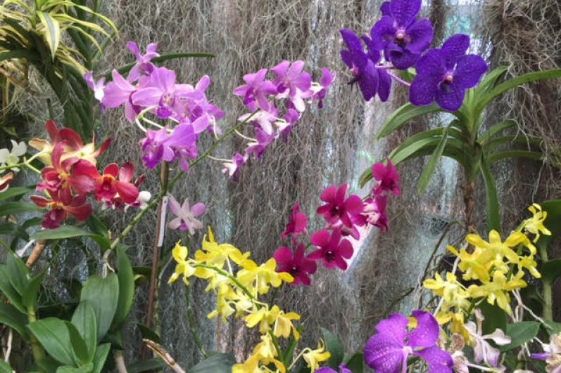 Royal Botanic Gardens