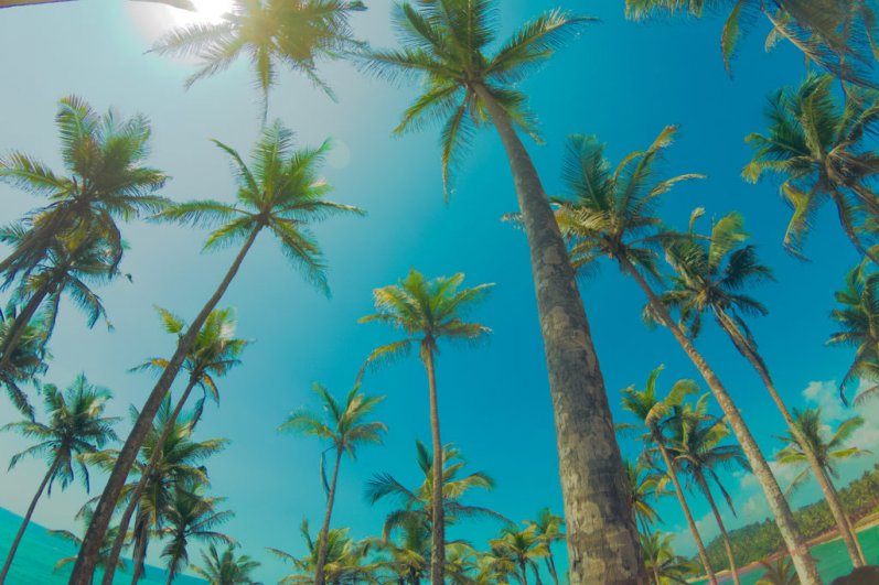 Mirissa Beach and whales watching