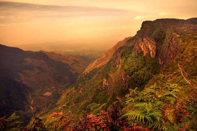 Horton Plains National Park