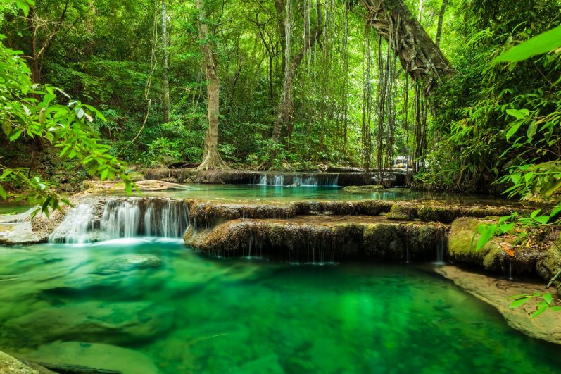 Sinharaja Forest Reserve