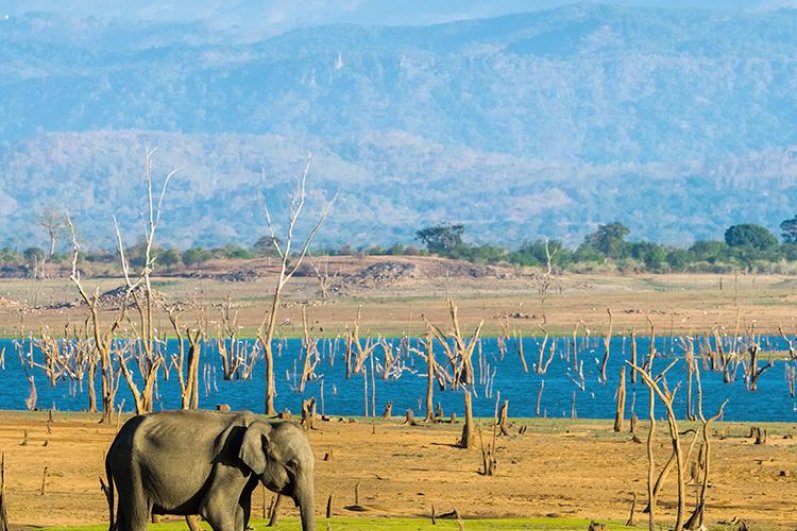 Kumana National Park