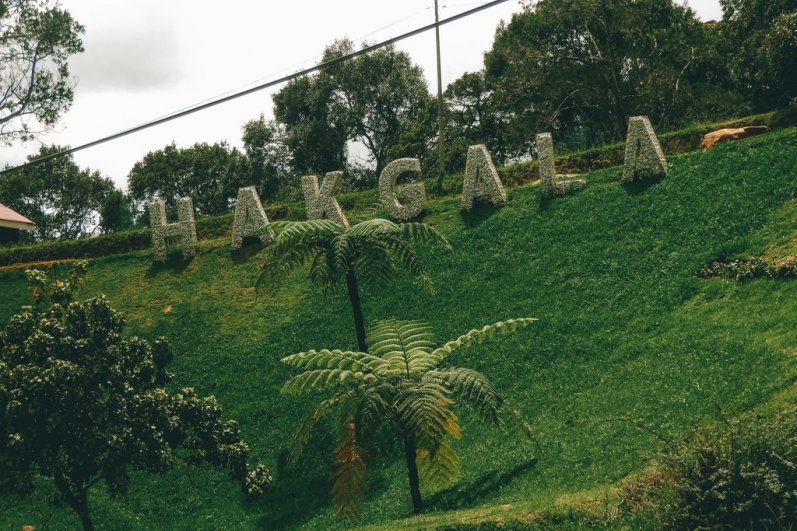 Hakgala Botanical Gardens
