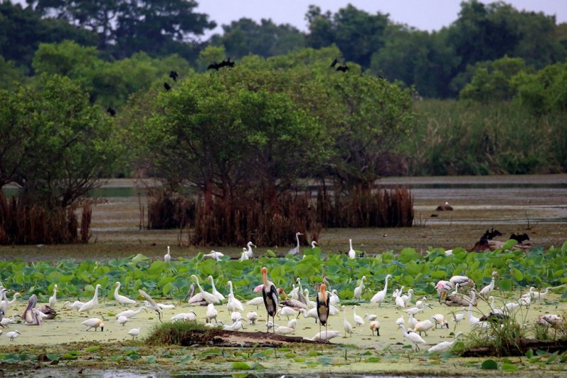 Kumana National Park