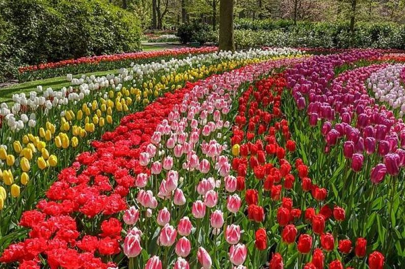 Hakgala Botanical Gardens