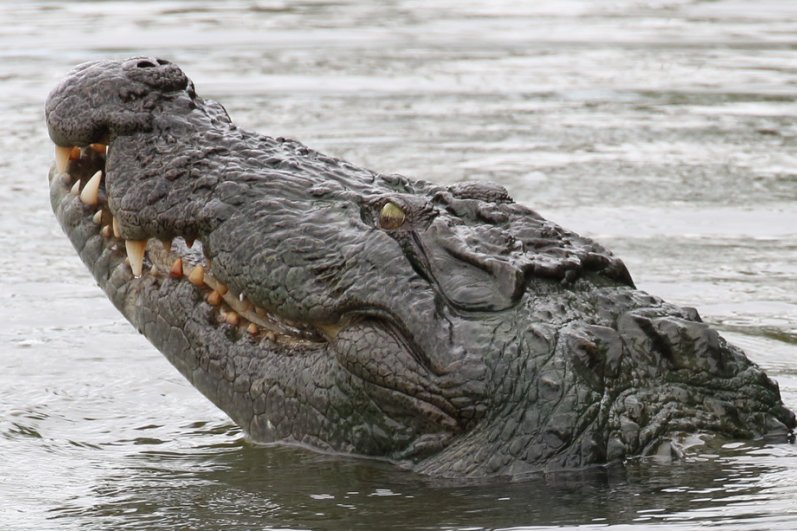 Kumana National Park