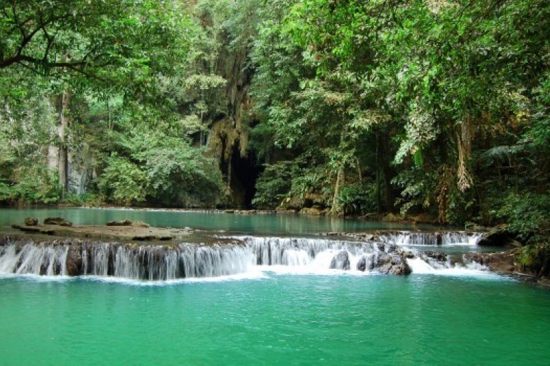 Sinharaja Forest Reserve