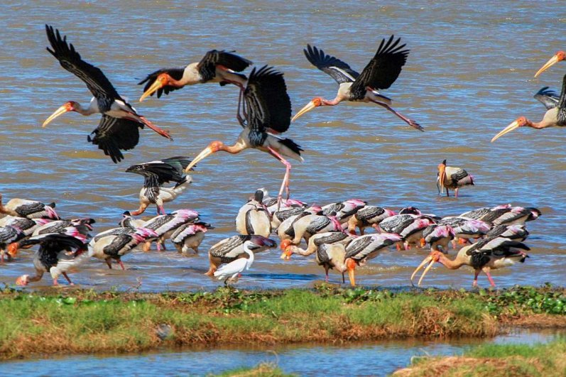 Kumana National Park