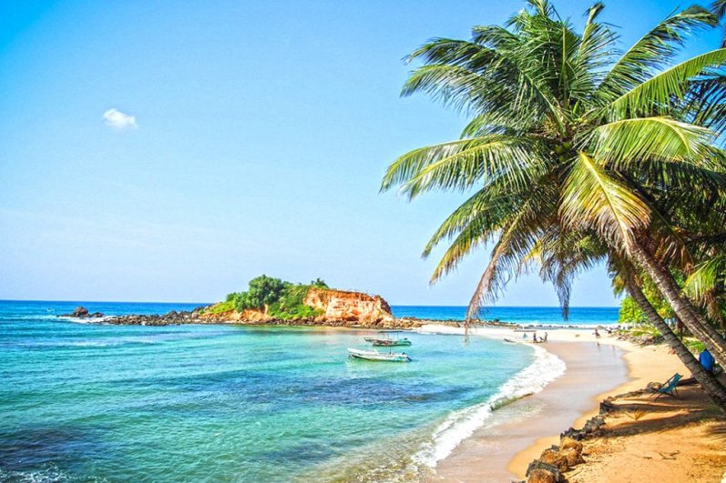 Mirissa Beach and whales watching