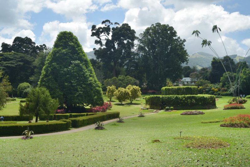 Royal Botanic Gardens