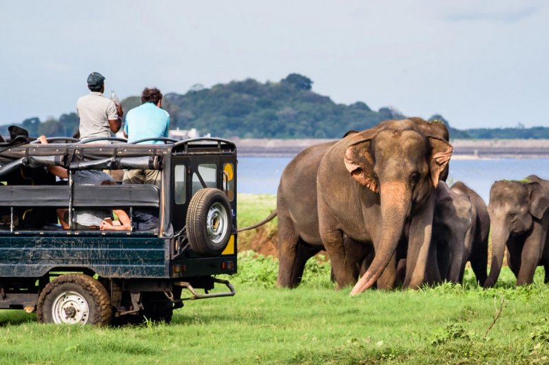 Yala national park