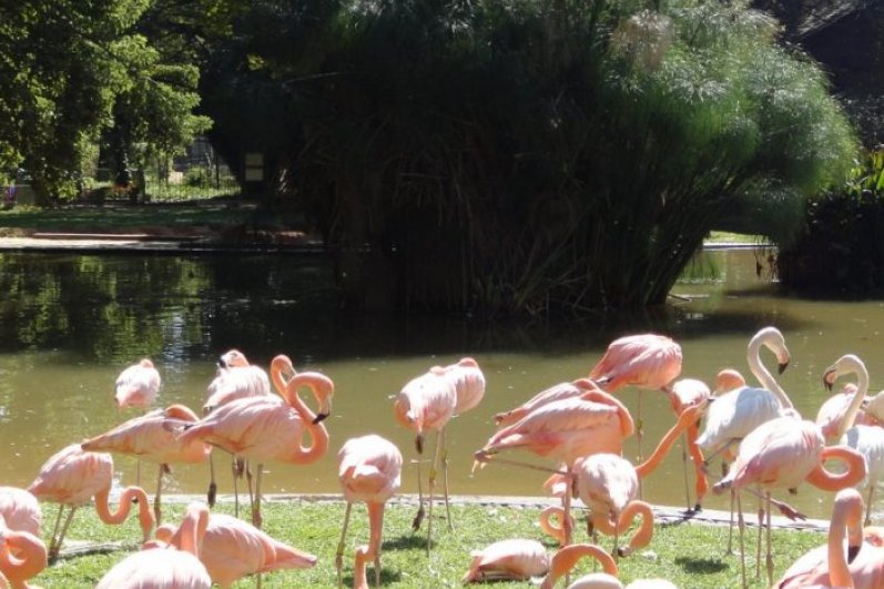 Dehiwala Zoological Garde