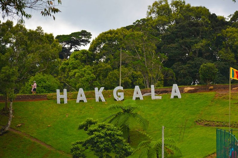 Hakgala Botanical Gardens