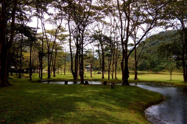 Royal Botanic Gardens