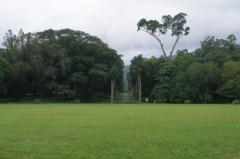 Royal Botanic Gardens