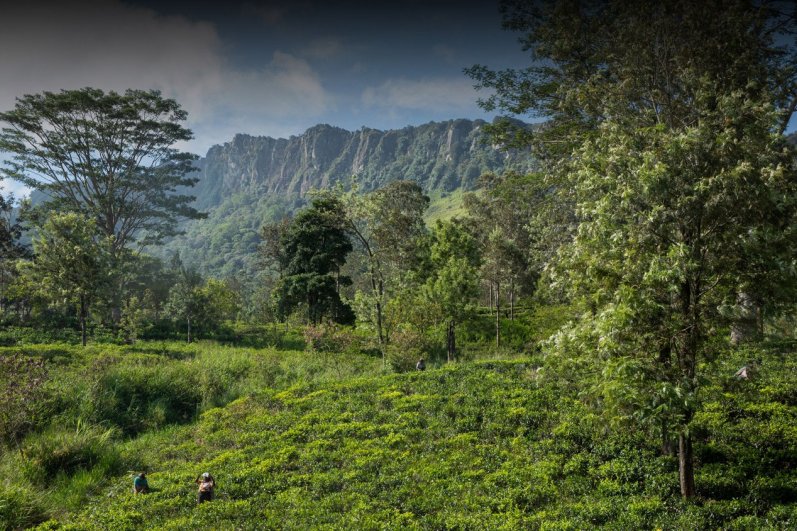 Hanthana Mountain Sri Lanka