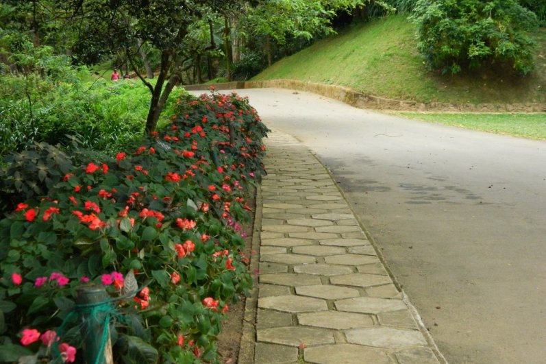 Royal Botanic Gardens