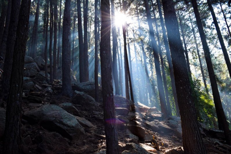 Hanthana Mountain Sri Lanka