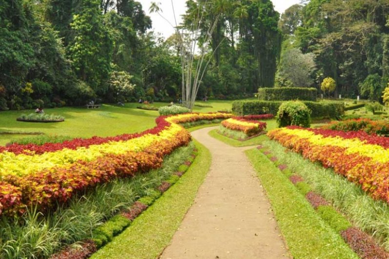 Royal Botanic Gardens