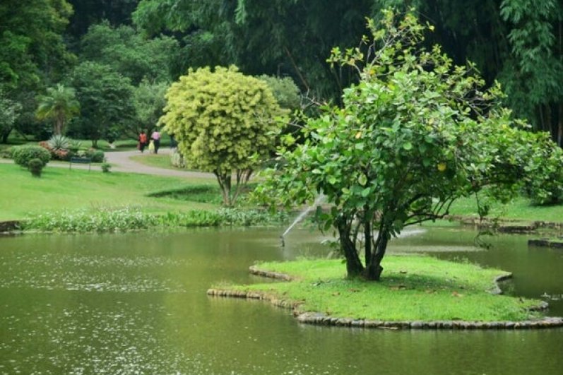 Royal Botanic Gardens