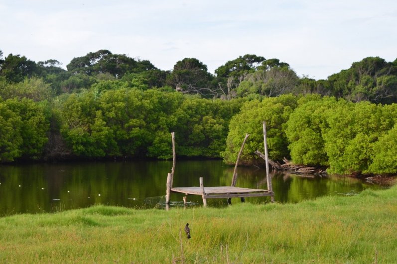 Kumana National Park