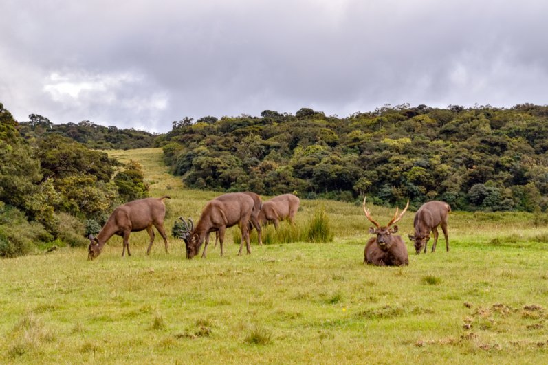 Horton Plains National Park