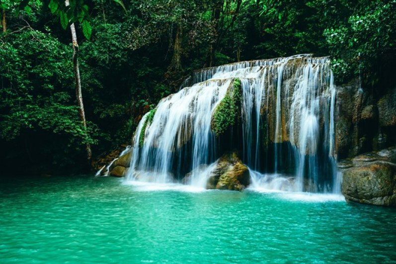 Sinharaja Forest Reserve