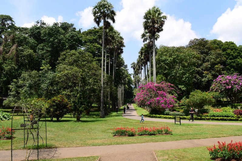 Royal Botanic Gardens
