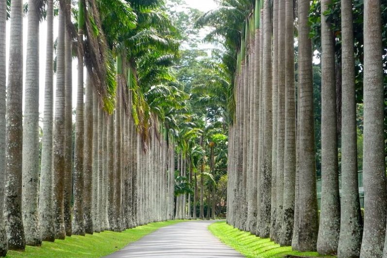 Royal Botanic Gardens