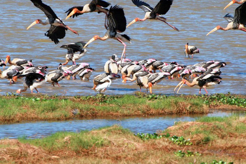 Kumana National Park