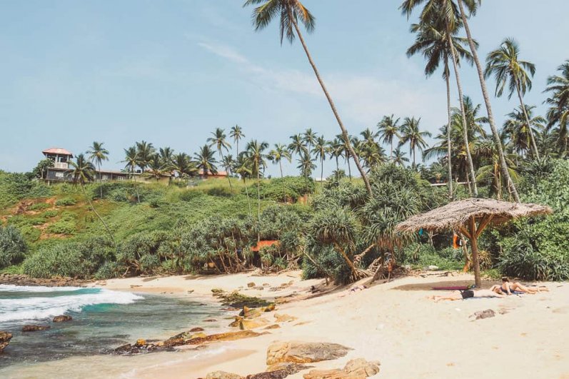 Mirissa Beach and whales watching