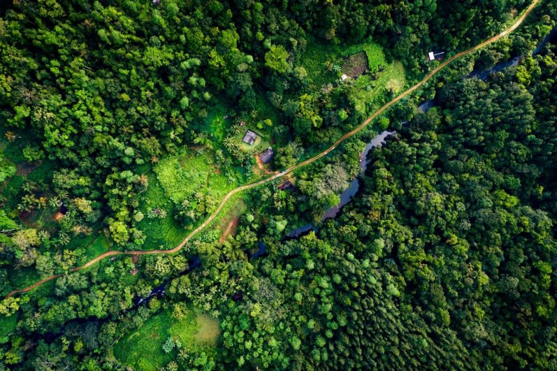 Sinharaja Forest Reserve