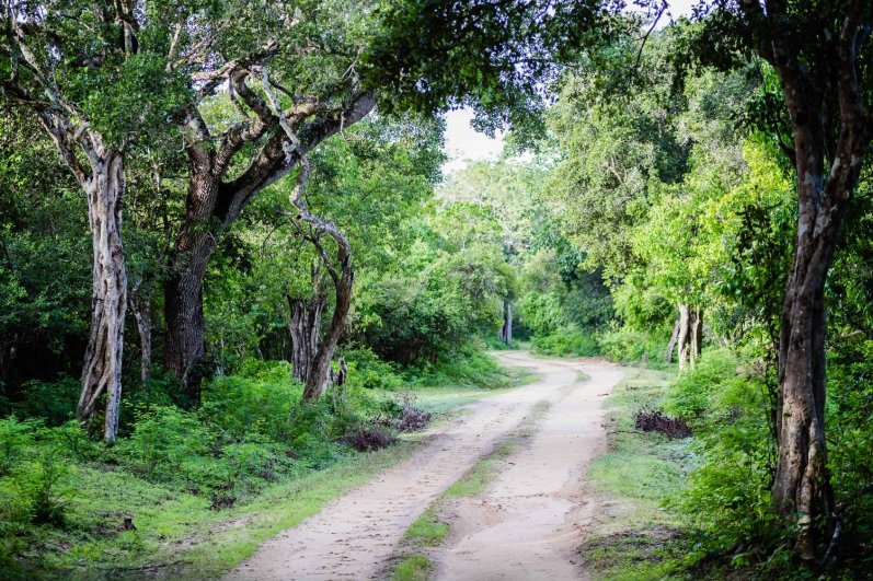Kumana National Park