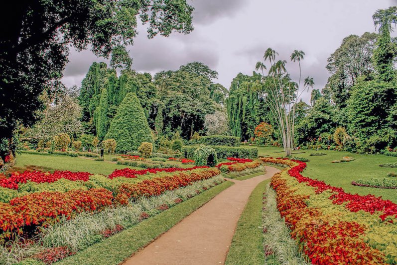 Royal Botanic Gardens