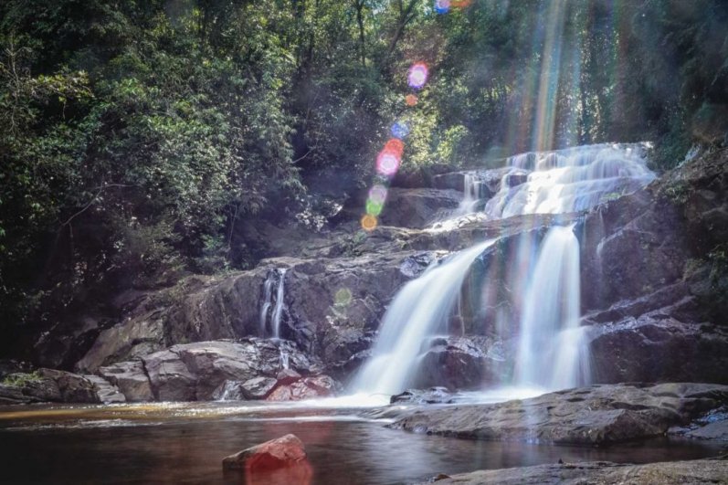 Sinharaja Forest Reserve