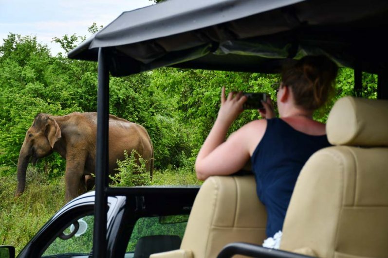 Udawalawa Elephant Transit Home