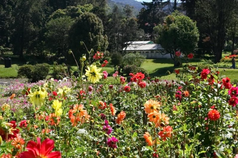 Hakgala Botanical Gardens