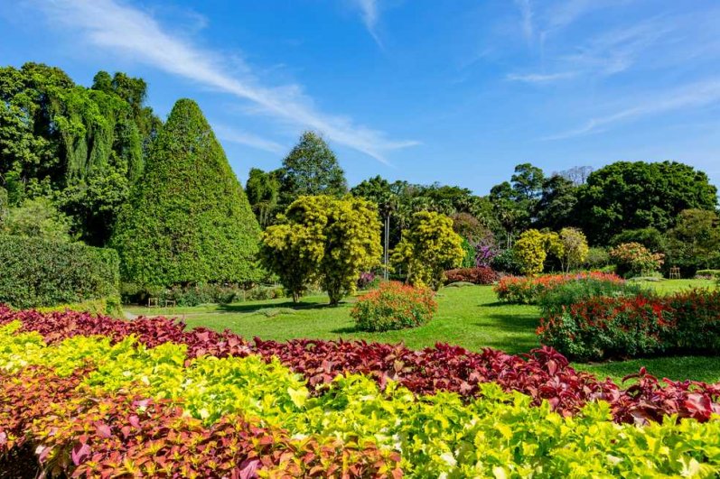 Royal Botanic Gardens