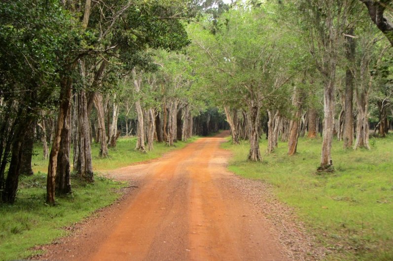 Wilpattu National Park