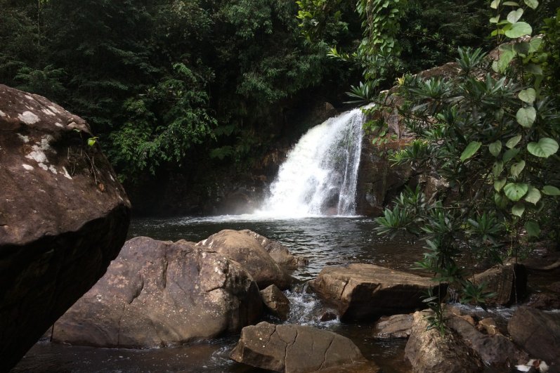 Sinharaja Forest Reserve