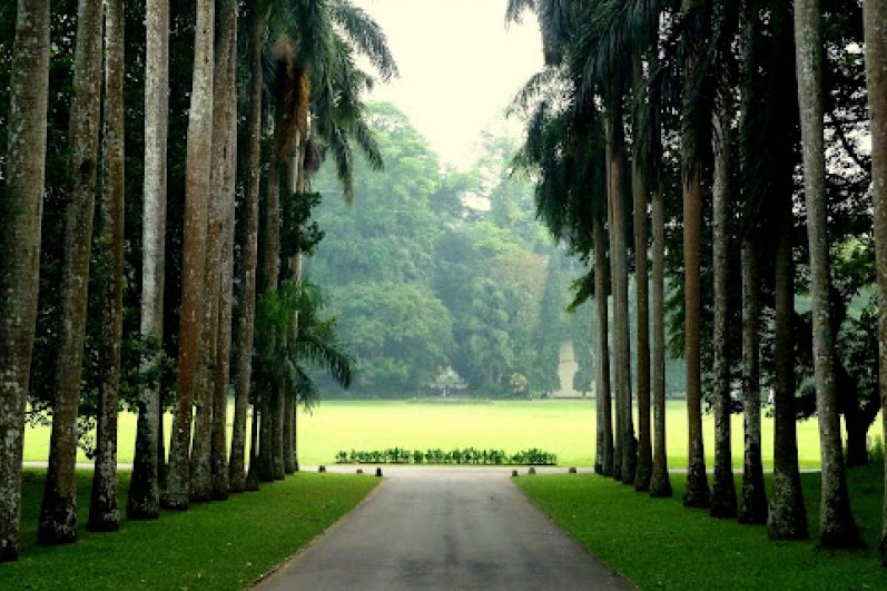 Royal Botanic Gardens