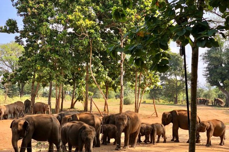Udawalawa Elephant Transit Home