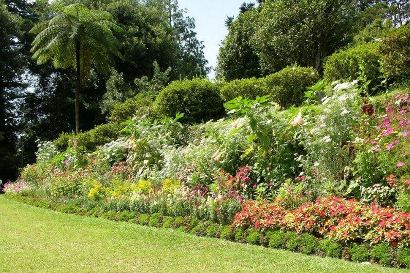 Hakgala Botanical Gardens