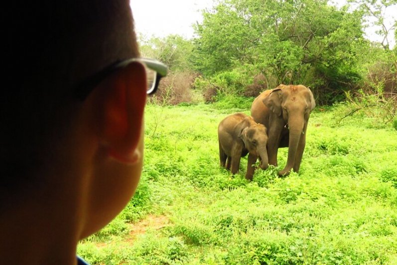 Udawalawa Elephant Transit Home