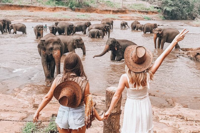 Minneriya National Park