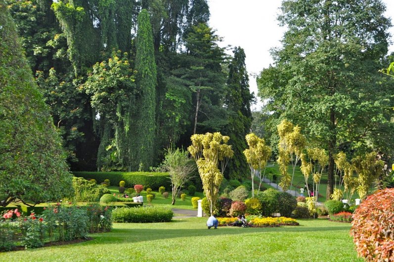 Royal Botanic Gardens