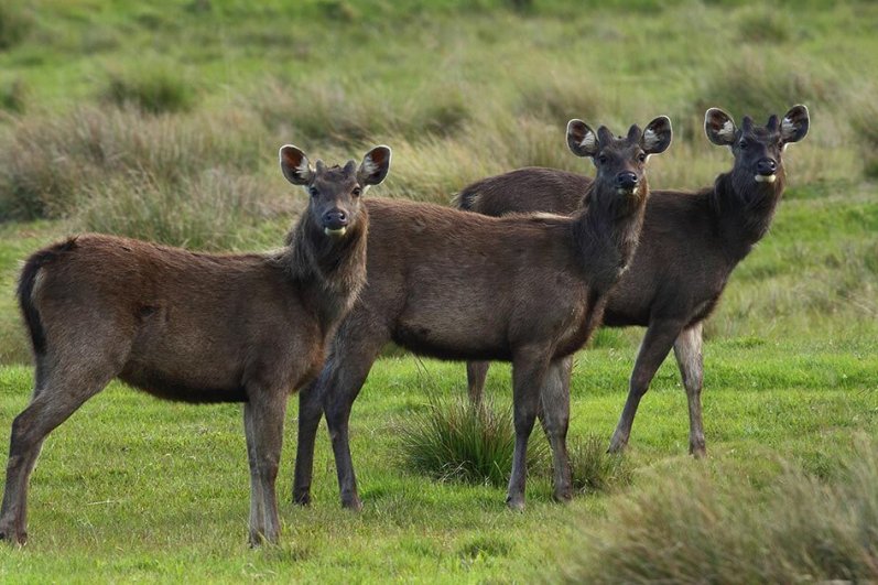 Horton Plains National Park