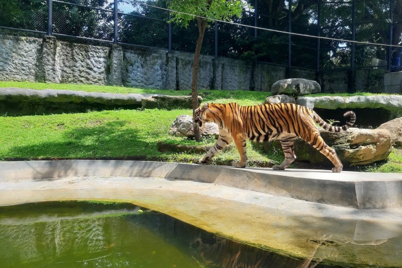 Dehiwala Zoological Garde