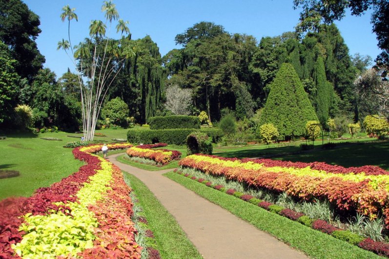 Hakgala Botanical Gardens