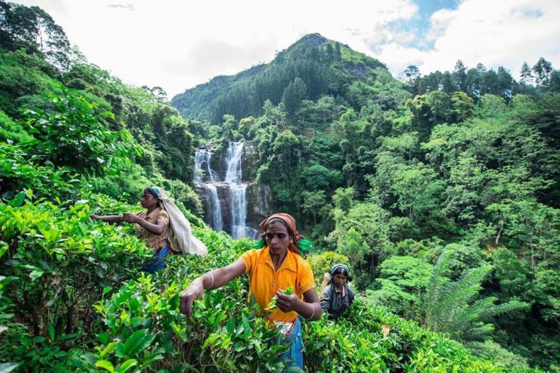 Ramboda Falls srilanka