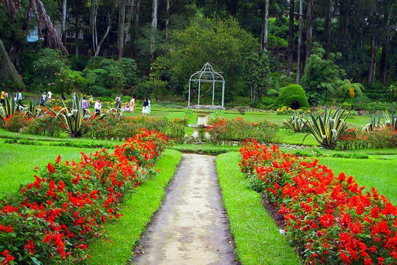 Hakgala Botanical Gardens
